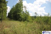 Land for sale in Chesterfield County, South Carolina