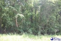 Land for sale in Chesterfield County, South Carolina