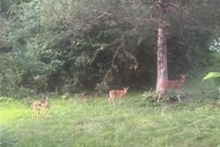 Horse Property for sale in Sherburne County, Minnesota