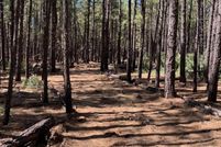 Land for sale in Navajo County, Arizona