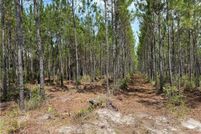 Land for sale in Ware County, Georgia