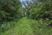 Land for sale in Leon County, Texas