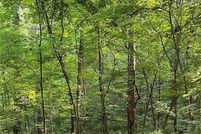 Undeveloped Land for sale in Cape Girardeau County, Missouri