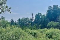 Land for sale in Saint Louis County, Minnesota