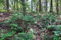 Land for sale in Saline County, Arkansas