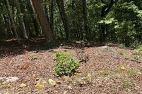 Undeveloped Land for sale in Cherokee County, North Carolina