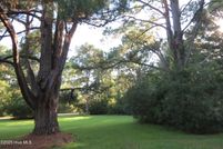 Land for sale in Pamlico County, North Carolina