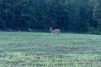 Land for sale in Merrimack County, New Hampshire