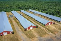 Farm and Ranch for sale in Polk County, Arkansas