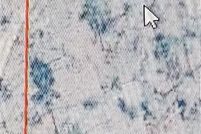 Land for sale in Jackson County, Florida