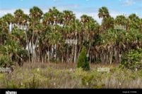 Land for sale in Collier County, Florida
