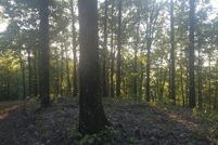 Land for sale in Pike County, Arkansas