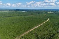 Undeveloped Land for sale in Appling County, Georgia