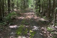 Land for sale in Talladega County, Alabama