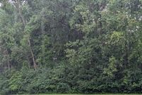 Land for sale in Antrim County, Michigan