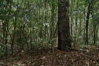 Homesite for sale in Bibb County, Georgia