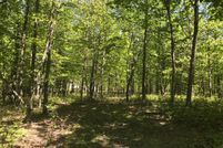 Undeveloped Land in Sequatchie County, Tennessee