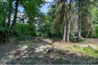 Undeveloped Land in Clackamas County, Oregon