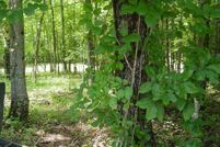 Land for sale in Clay County, North Carolina