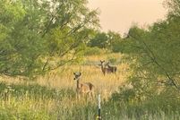 Farm and Ranch for sale in Cottle County, Texas