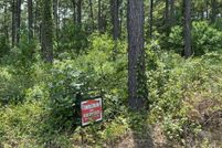 Land for sale in Shelby County, Texas