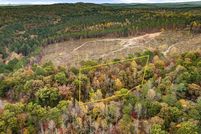 Undeveloped Land for sale in Gilmer County, Georgia
