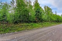 Undeveloped Land for sale in Matanuska-Susitna Borough, Alaska