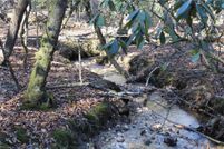 Land for sale in Surry County, North Carolina