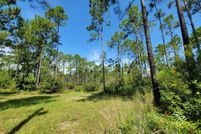Land for sale in Walton County, Florida