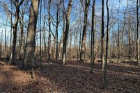 Land for sale in Ingham County, Michigan