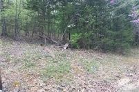 Land for sale in Carroll County, Arkansas