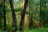 Undeveloped Land for sale in Pike County, Pennsylvania