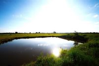 Land for sale in Grayson County, Texas