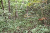 Land for sale in Floyd County, Kentucky