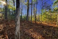 Undeveloped Land for sale in Jasper County, Texas