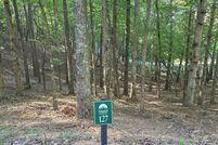 Undeveloped Land for sale in Gilmer County, Georgia