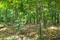 Land for sale in Benton County, Missouri