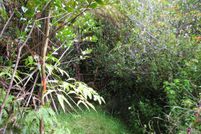 Undeveloped Land for sale in Hawaii County, Hawaii