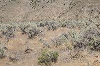 Land for sale in Pershing County, Nevada