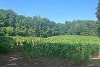 Undeveloped Land for sale in Amelia County, Virginia