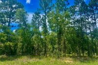 Undeveloped Land for sale in Citrus County, Florida