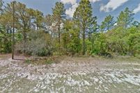 Land for sale in Marion County, Florida
