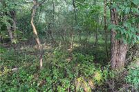 Undeveloped Land for sale in  , Ohio