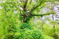 Land for sale in Shelby County, Alabama