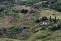 Land for sale in La Plata County, Colorado