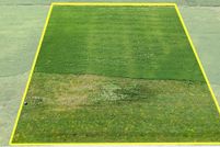 Undeveloped Land for sale in Madison County, Iowa