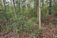 Land for sale in Camden County, Georgia