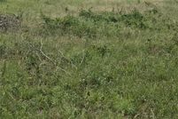 Land for sale in McLennan County, Texas