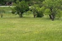 Land for sale in Wise County, Texas