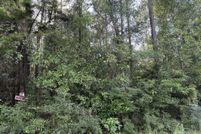 Land for sale in Escambia County, Florida